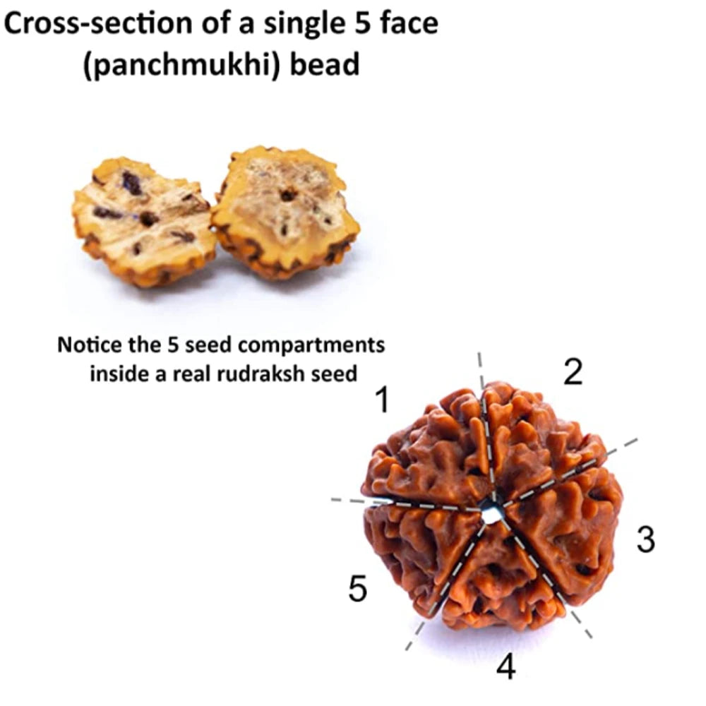 Conjunto Premium Japamala com 108 Contas de Rudraksha e Ágata Vermelha