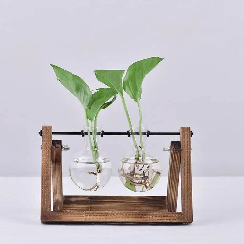 Hydroponic Plant Vases Glass Vase Vintage Bonsai Flower Pot Terrarium Tabletop Tray Wooden Frame Home Decor - Aloha Spirit Store