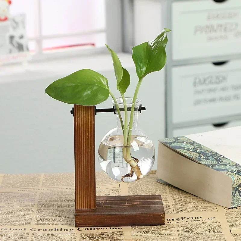 Hydroponic Plant Terrarium Vasevase Decoration Home Glass Bottle Hydroponic Desktop Decoration Office Green Plant Small Potted - Aloha Spirit Store