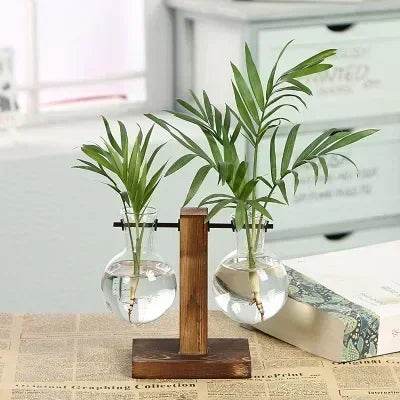 Hydroponic Plant Terrarium Vasevase Decoration Home Glass Bottle Hydroponic Desktop Decoration Office Green Plant Small Potted - Aloha Spirit Store