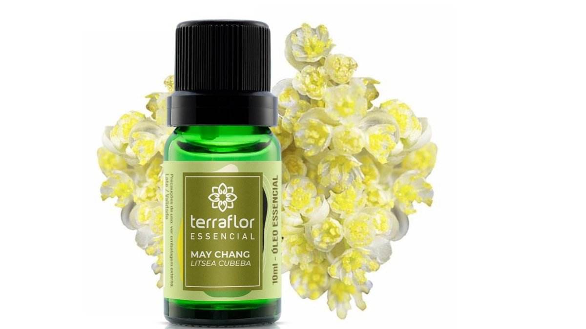 Óleo Essencial de May Chang - Aloha Spirit Store