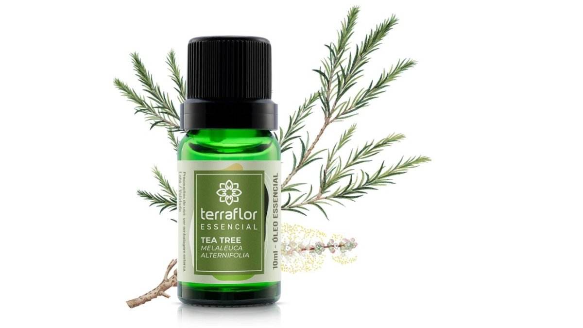 Óleo Essencial de Tea Tree - Aloha Spirit Store
