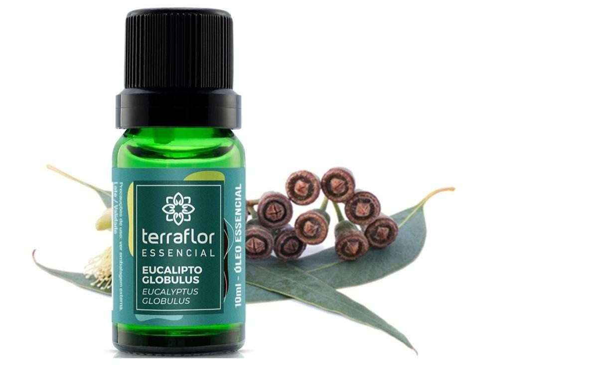 Óleo Essencial de Eucalipto Globulus - Aloha Spirit Store