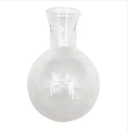 Hydroponic Plant Terrarium Vasevase Decoration Home Glass Bottle Hydroponic Desktop Decoration Office Green Plant Small Potted - Aloha Spirit Store