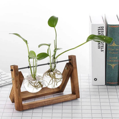 Hydroponic Plant Vases Glass Vase Vintage Bonsai Flower Pot Terrarium Tabletop Tray Wooden Frame Home Decor - Aloha Spirit Store