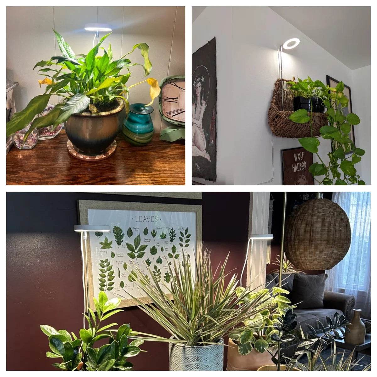 Full Spectrum Indoor Solar LED Growth Light, Four Gear Dimming, Fleshy Viridiplantae, Flower Floor Telescopic Fill Light - Aloha Spirit Store