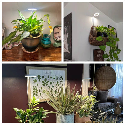 Full Spectrum Indoor Solar LED Growth Light, Four Gear Dimming, Fleshy Viridiplantae, Flower Floor Telescopic Fill Light - Aloha Spirit Store