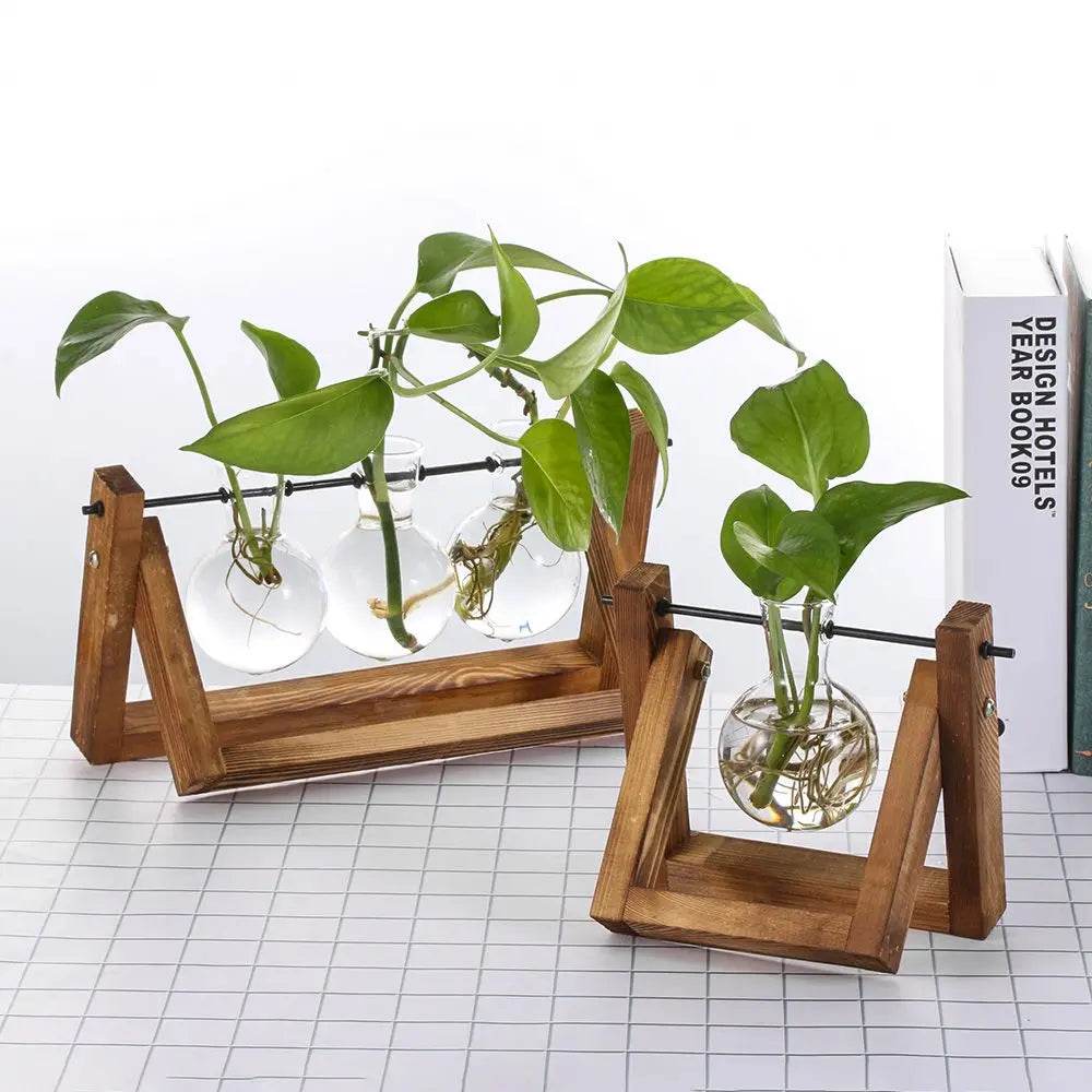 Hydroponic Plant Vases Glass Vase Vintage Bonsai Flower Pot Terrarium Tabletop Tray Wooden Frame Home Decor - Aloha Spirit Store