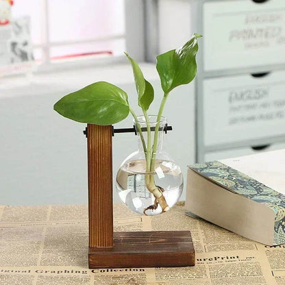 Hydroponic Plant Terrarium Vasevase Decoration Home Glass Bottle Hydroponic Desktop Decoration Office Green Plant Small Potted - Aloha Spirit Store