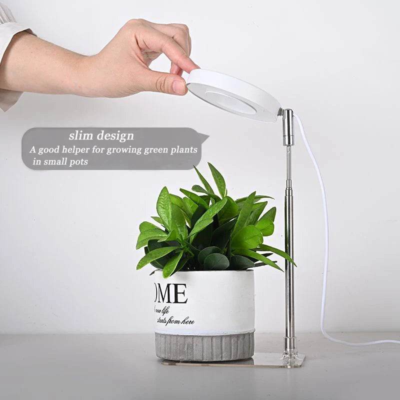 Full Spectrum Indoor Solar LED Growth Light, Four Gear Dimming, Fleshy Viridiplantae, Flower Floor Telescopic Fill Light - Aloha Spirit Store