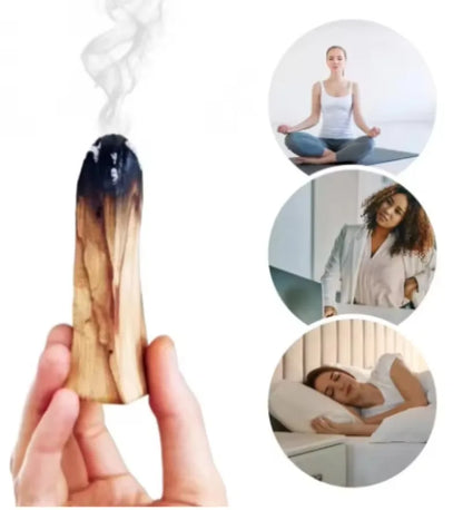 Palo Santo Natural Premium com Alto Teor de Óleo