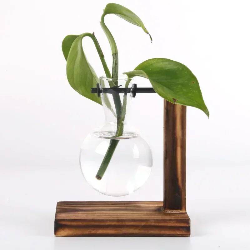 Hydroponic Plant Terrarium Vasevase Decoration Home Glass Bottle Hydroponic Desktop Decoration Office Green Plant Small Potted - Aloha Spirit Store